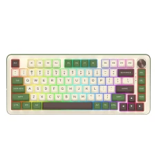 کیبورد بی سیم مکانیکال گیمینگ ردراگون مدل Cyrus PRO K681 CGC